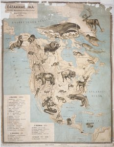 Kaart van dieren in Noord-Amerika